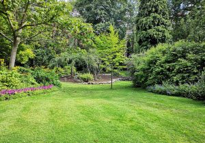 Optimiser l'expérience du jardin à Rocquemont